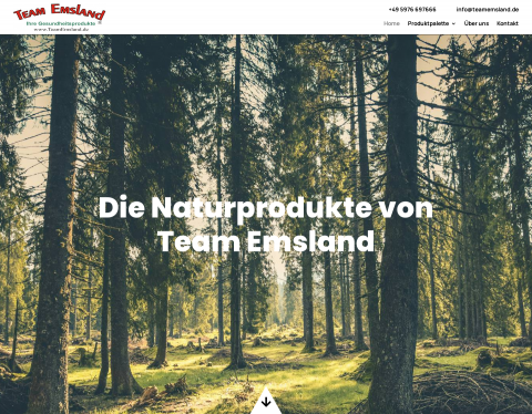 Website-Vorschau von Team Emsland