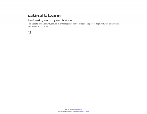Website-Vorschau von Cat in a Flat