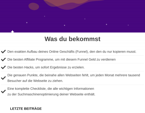 Website-Vorschau von FirstEnterprise