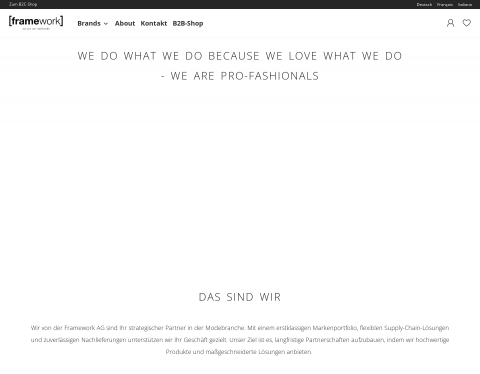Website-Vorschau von Framework AG