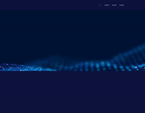 Website-Vorschau von HM Informatik AG