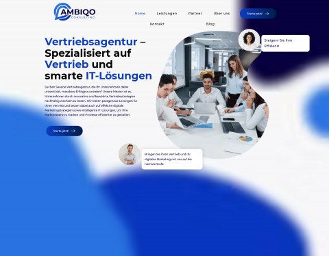Website-Vorschau von Vertrieb und Digitales Marketing