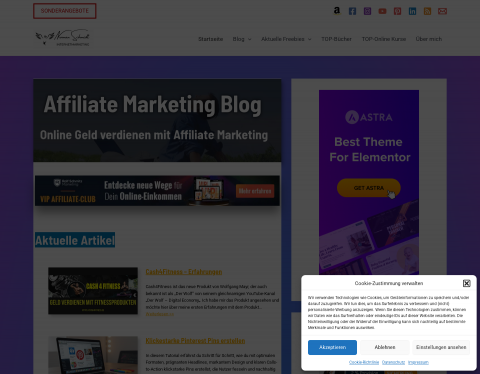 Website-Vorschau von Affiliate Marketing lernen