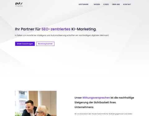 Website-Vorschau von PulsMedia-Group