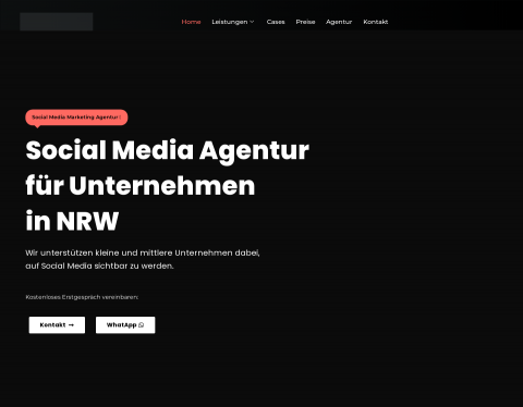Website-Vorschau von THL Marketing