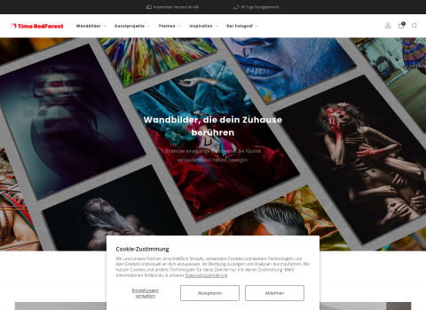 Website-Vorschau von TimoRedForest