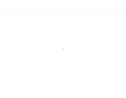 Website-Vorschau von Immo Zeimes sàrl