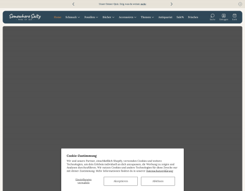 Website-Vorschau von Rügensteine - Schönes von der Küste