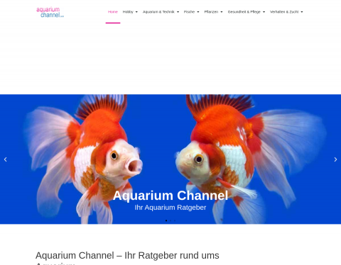 Vorschau von Aquarium Channel Ratgeber