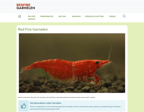 Vorschau von Red Fire Garnelen: Zucht und Haltung