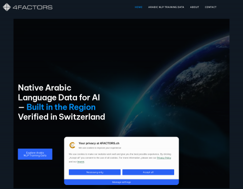 Website-Vorschau von Individualprogrammierung