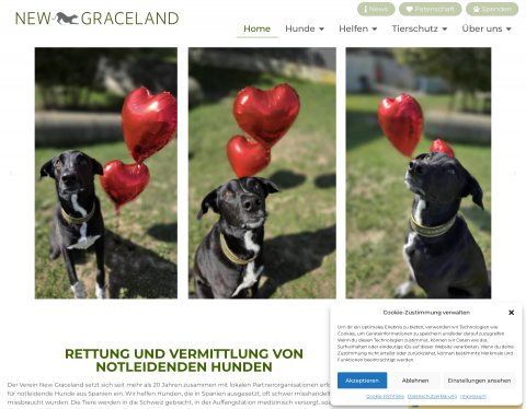 Website-Vorschau von Galgos und Galgas
