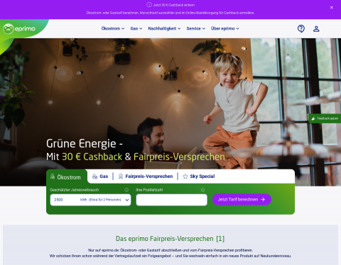 Website-Vorschau von Ökostrom - eprimo GmbH