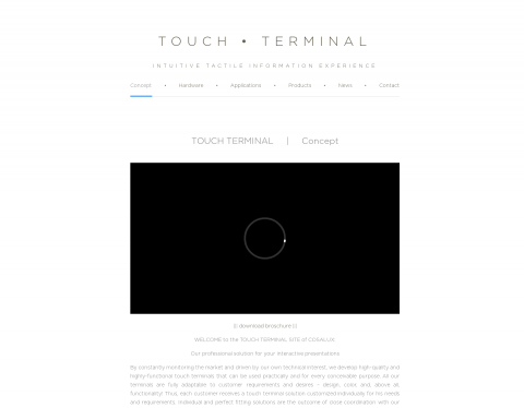 Website-Vorschau von Touch Terminal Lösungen