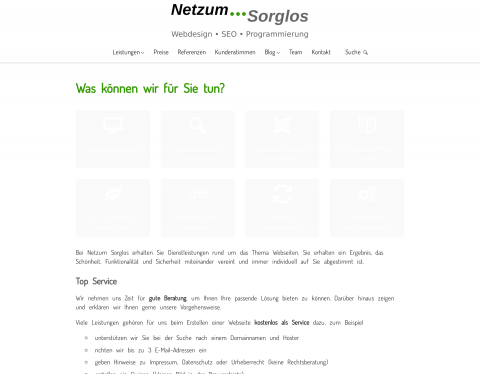 Website-Vorschau von Netzum Sorglos Software GmbH