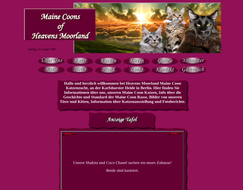 Website-Vorschau von Maine Coon Katzen & Kitten-Katzenzucht
