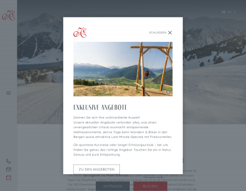 Website-Vorschau von 3 Länder Skisafari