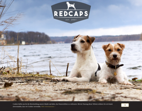 Website-Vorschau von Jack Russell Welpen in NRW & Berlin