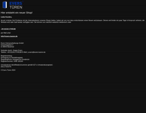 Website-Vorschau von Türenoutletstore. Der Türenshop