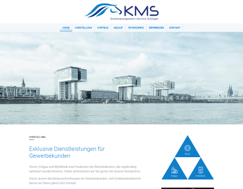 Website-Vorschau von Kostenmanagement Schleger