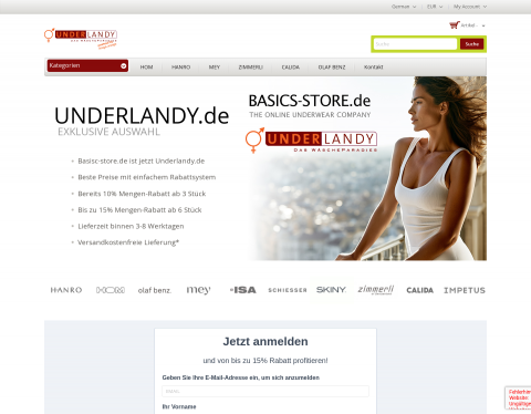 Website-Vorschau von Basics-Store