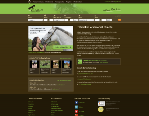 Website-Vorschau von Caballo Horsemarket - Pferde kaufen