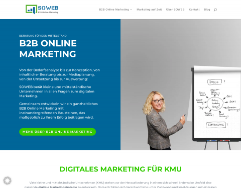 Vorschau von SOWEB - B2B-Online-Marketing