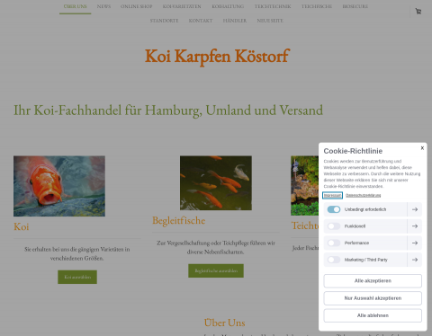 Vorschau von Koi Karpfen Köstorf