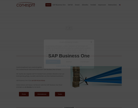 Vorschau von SAP Beratungs- und Softwarehaus