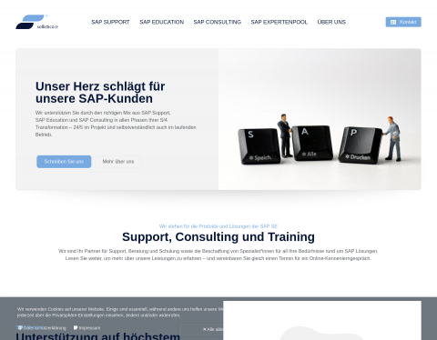 Website-Vorschau von SEO Service