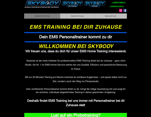 Website-Vorschau von Skybody Zeitsparendes Training Zuhause