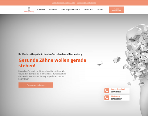 Website-Vorschau von Dipl.-Stom. Holger Hertig