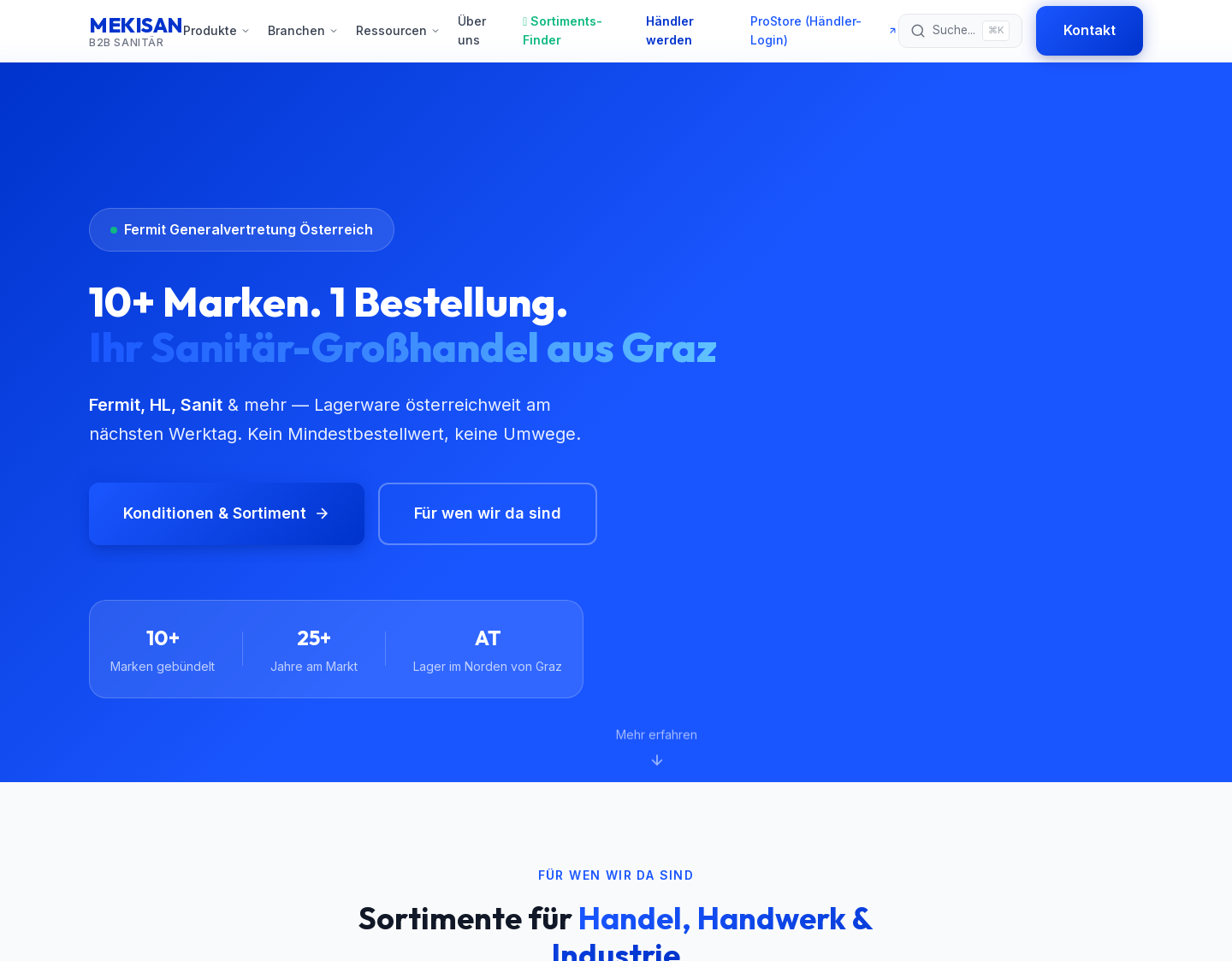 Aktuelle Website-Vorschau von Mekisan