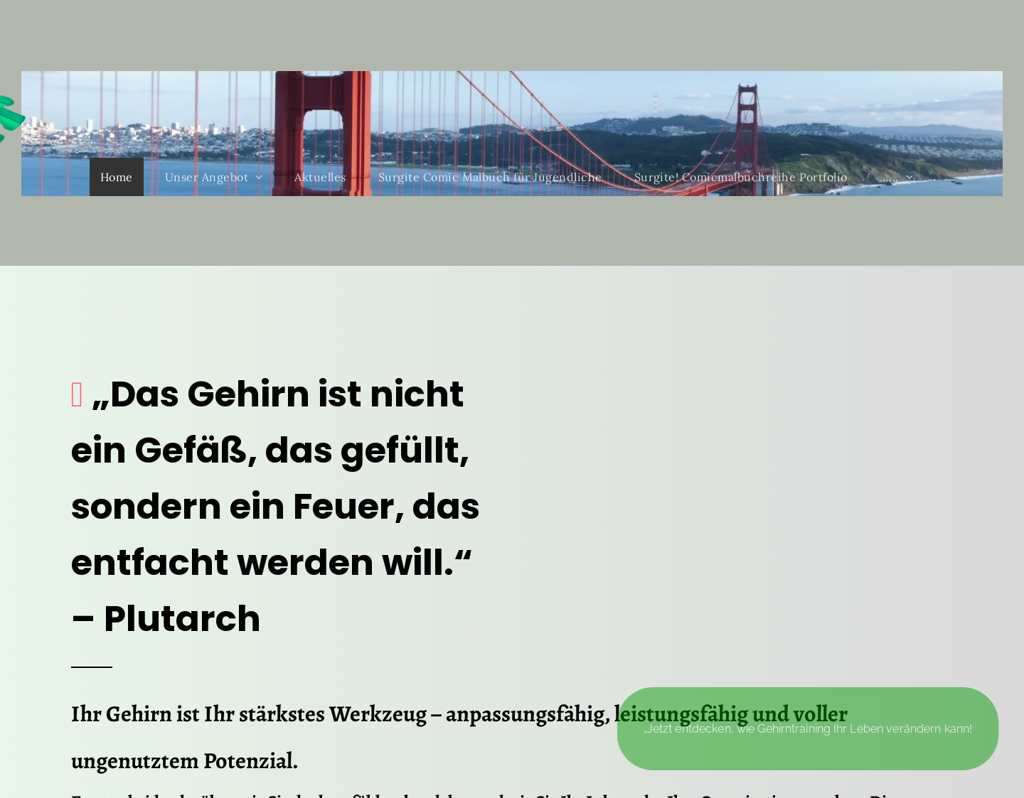 Aktuelle Website-Vorschau von Soforthilfe Stressmanagement