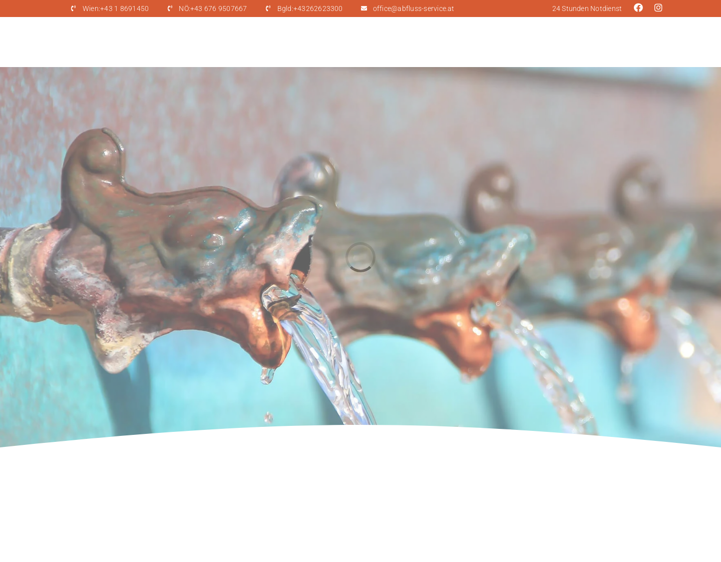 Aktuelle Website-Vorschau von ASN Abfluss Service GmbH