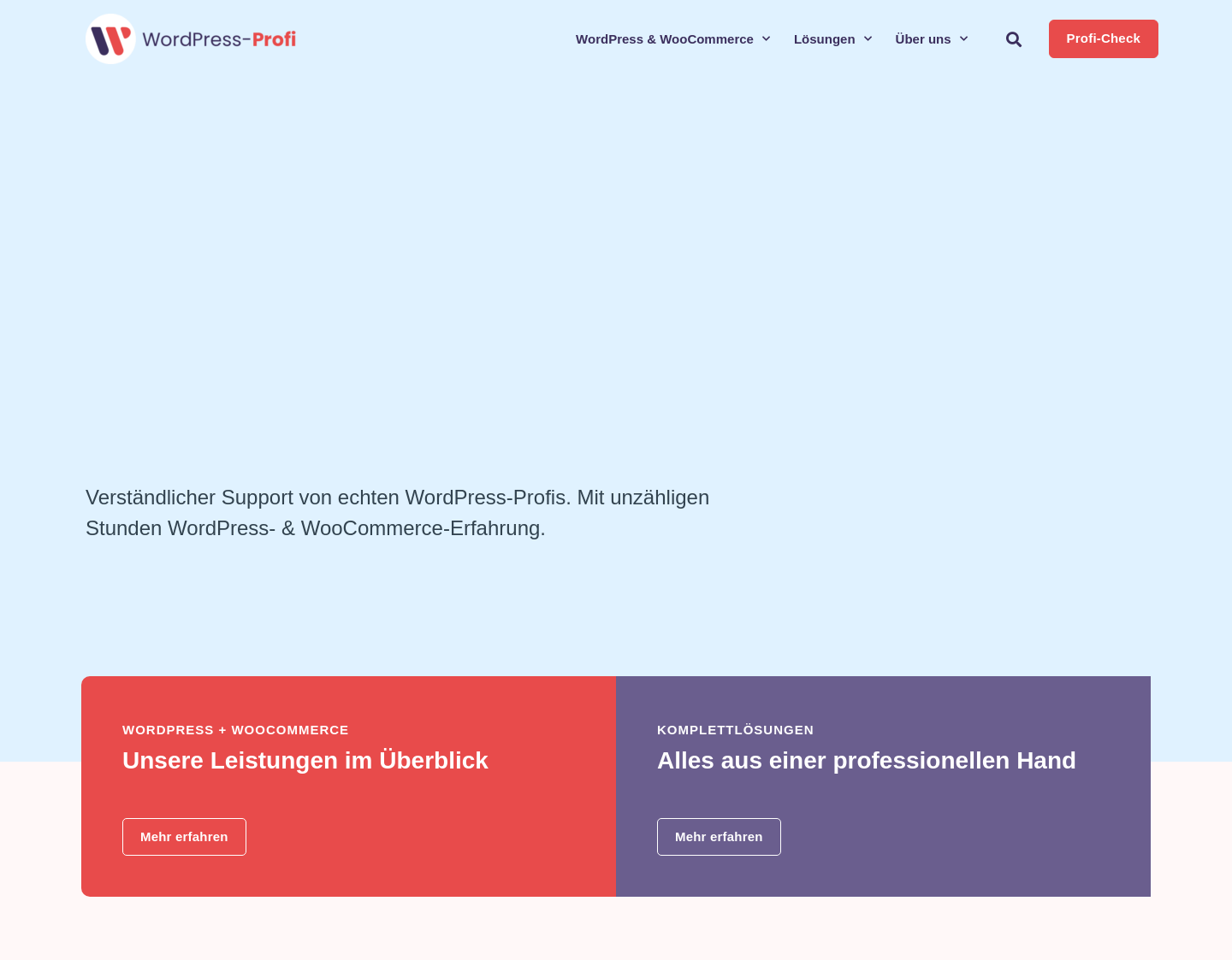 Aktuelle Website-Vorschau von WordPress-Profi - Die kompetente WordPress-Agentur