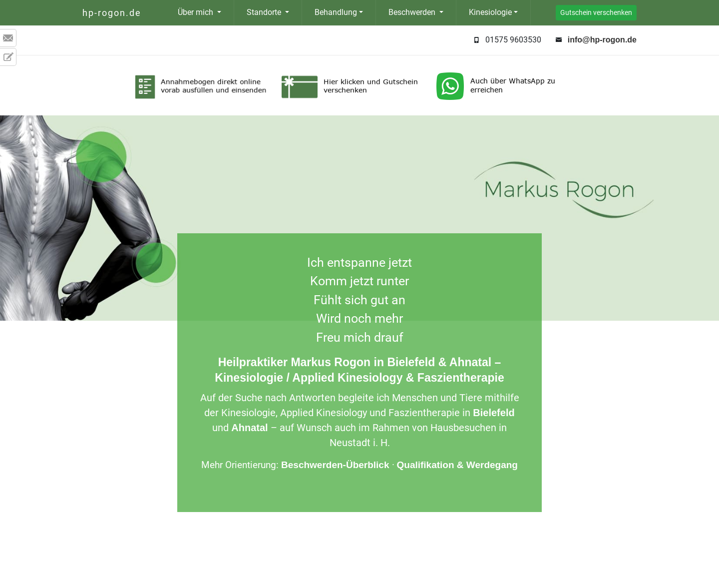 Aktuelle Website-Vorschau von Heilpraktiker Rogon - Kinesiologie