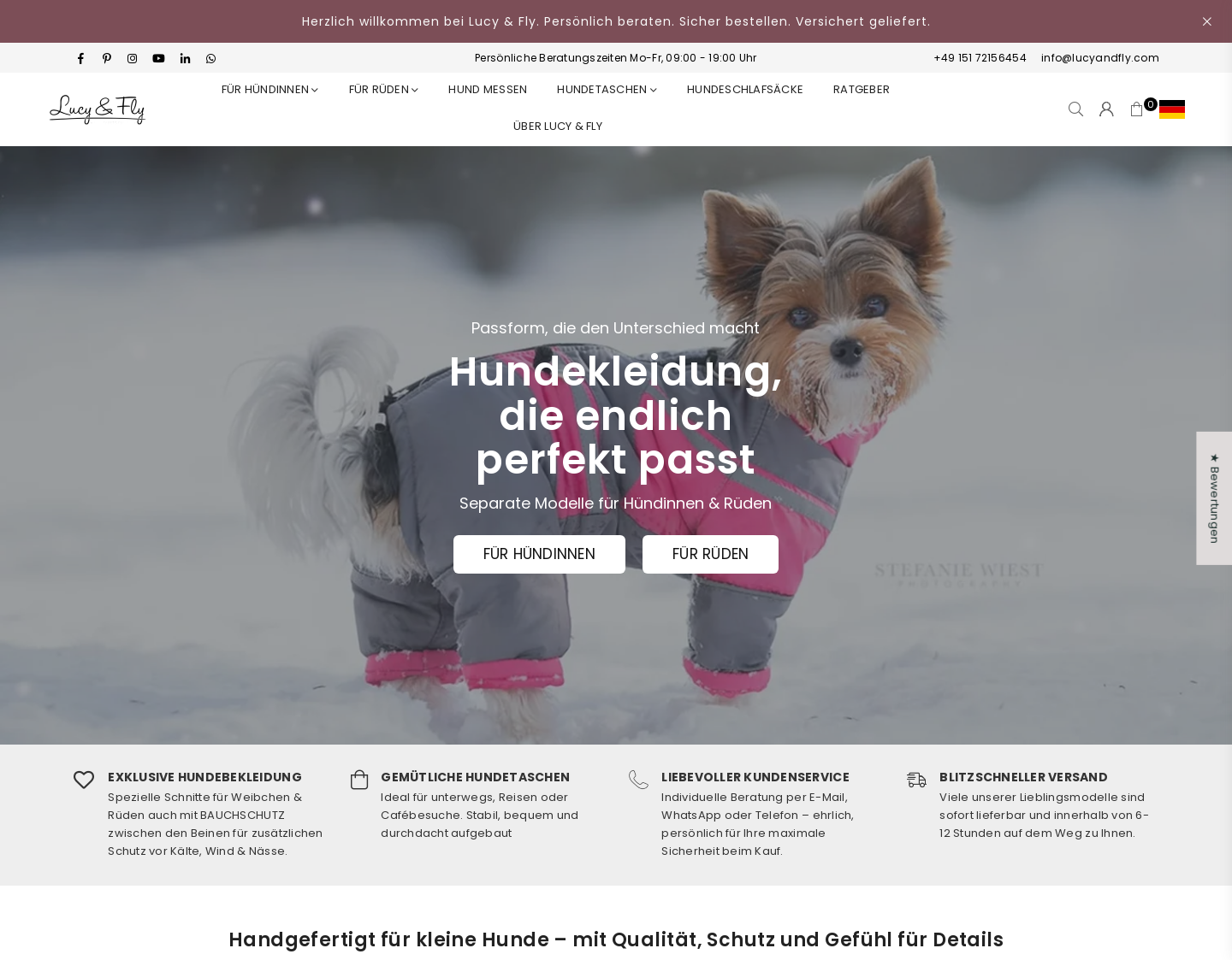 Aktuelle Website-Vorschau von Perfekt passende Hundekleidung im Top-Design