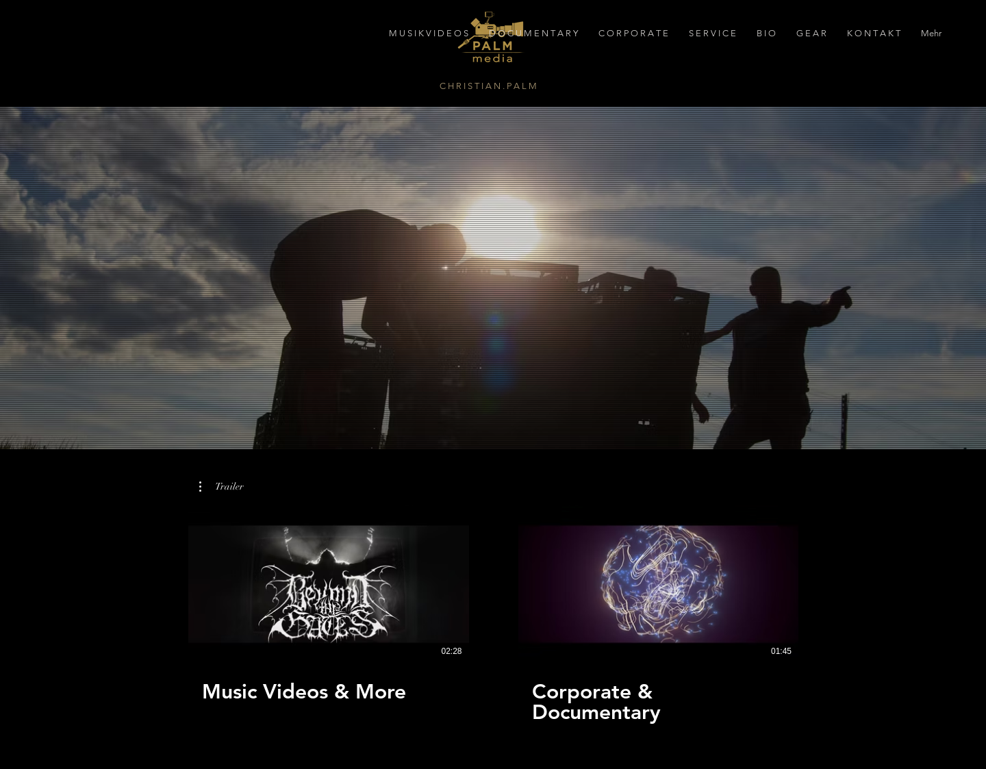 Aktuelle Website-Vorschau von Palm-Media