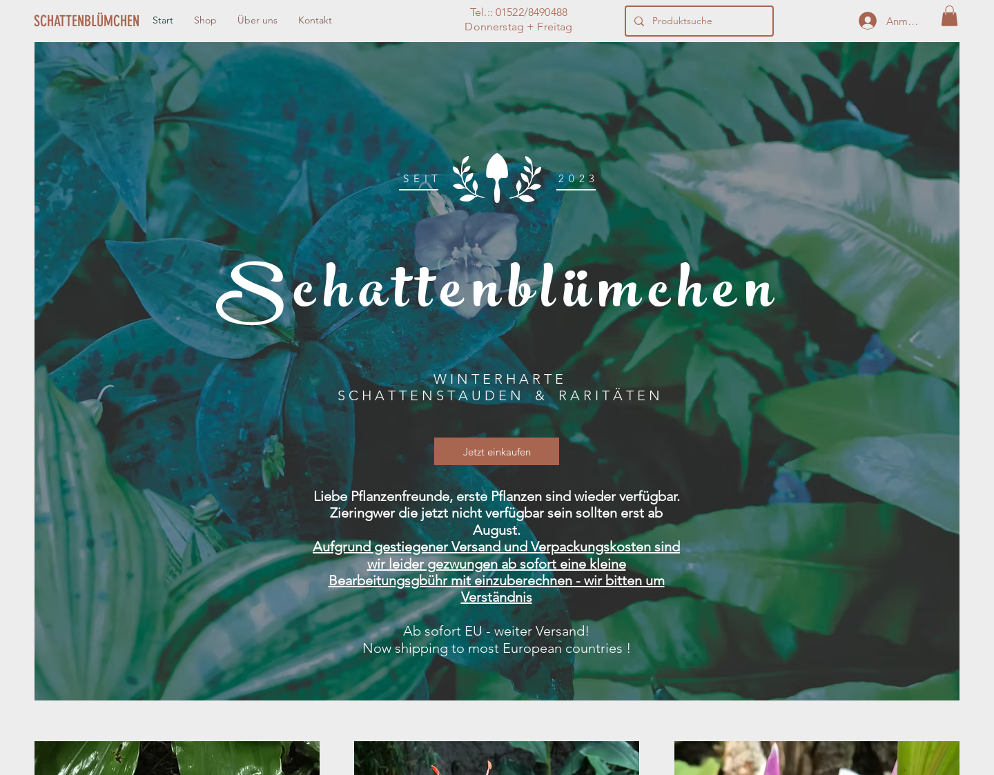 Aktuelle Website-Vorschau von Schattenblümchen