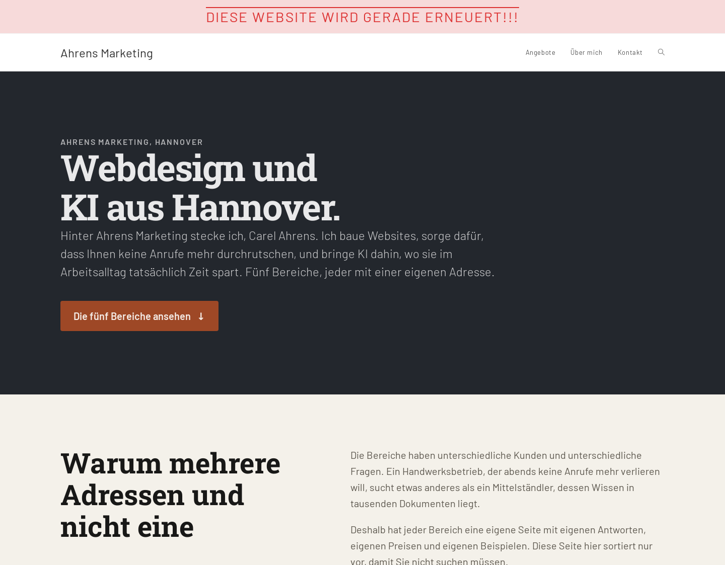 Aktuelle Website-Vorschau von WordPress Website erstellen für Unternehmer