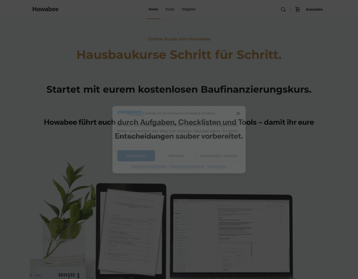 Aktuelle Website-Vorschau von Howabee