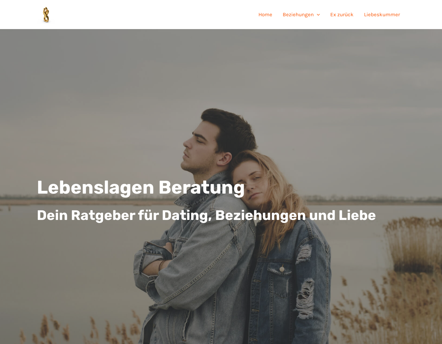 Aktuelle Website-Vorschau von Lebenslagen-Beratung