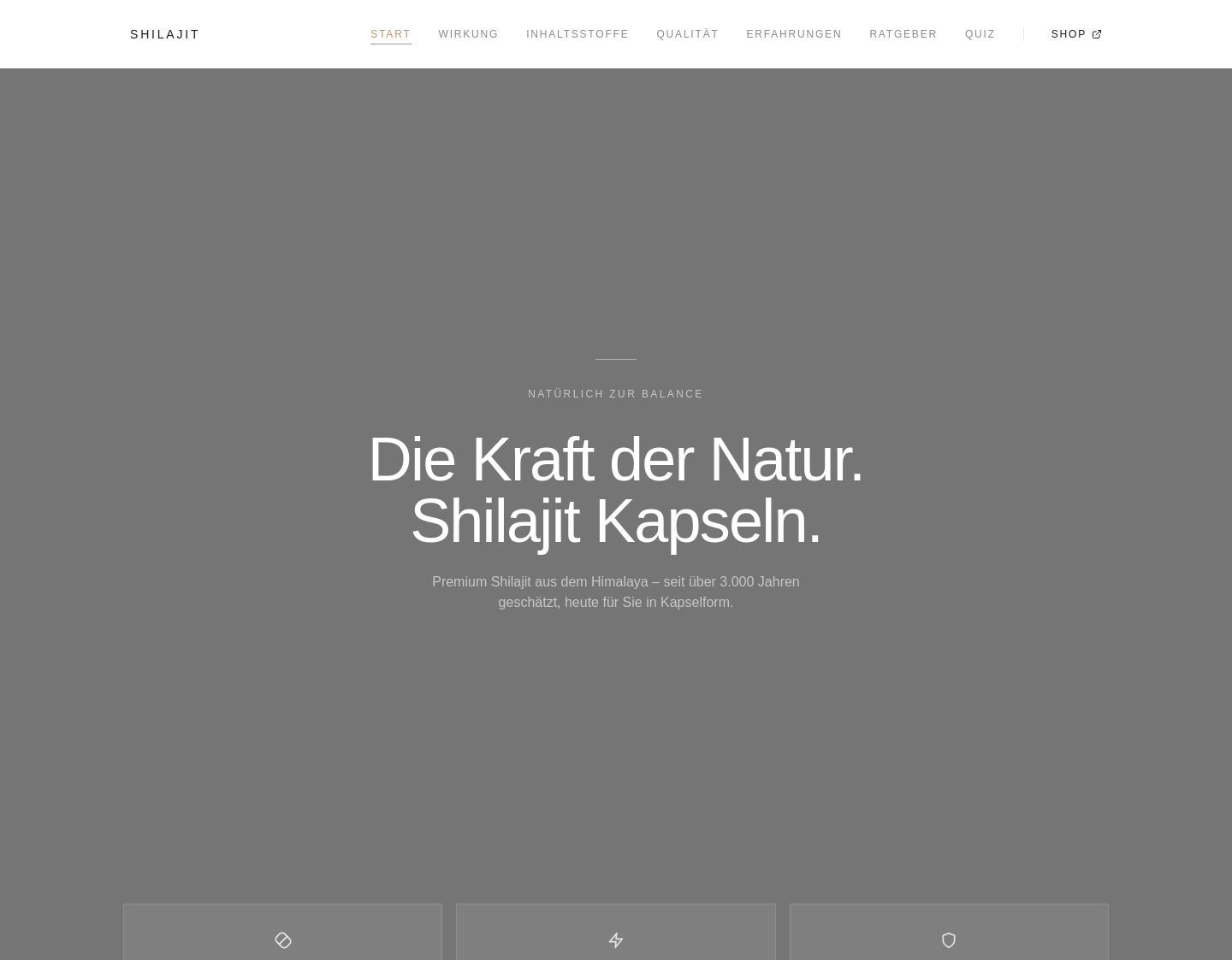 Aktuelle Website-Vorschau von Shilajit Kapseln