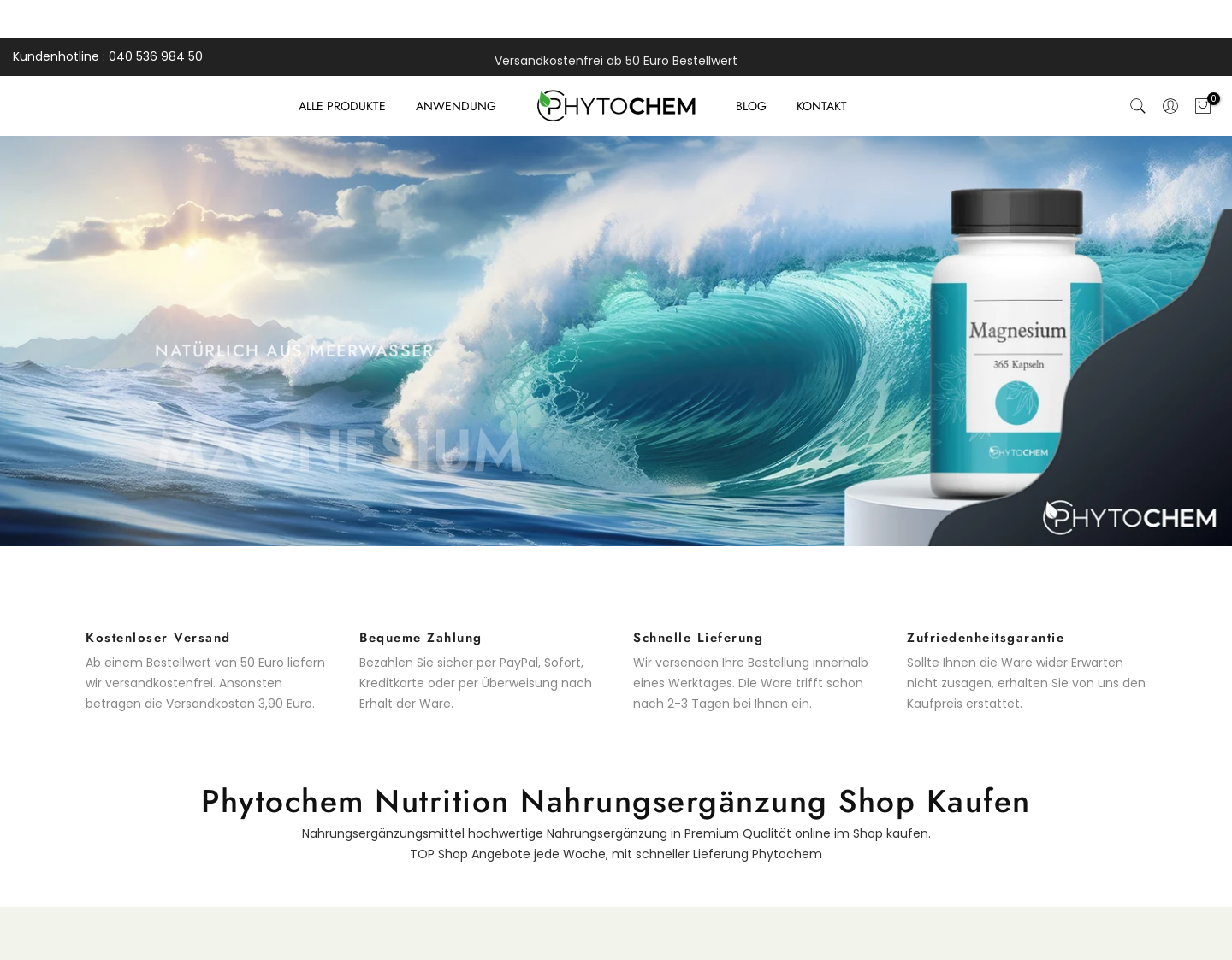 Aktuelle Website-Vorschau von Nahrungsergänzung online kaufen