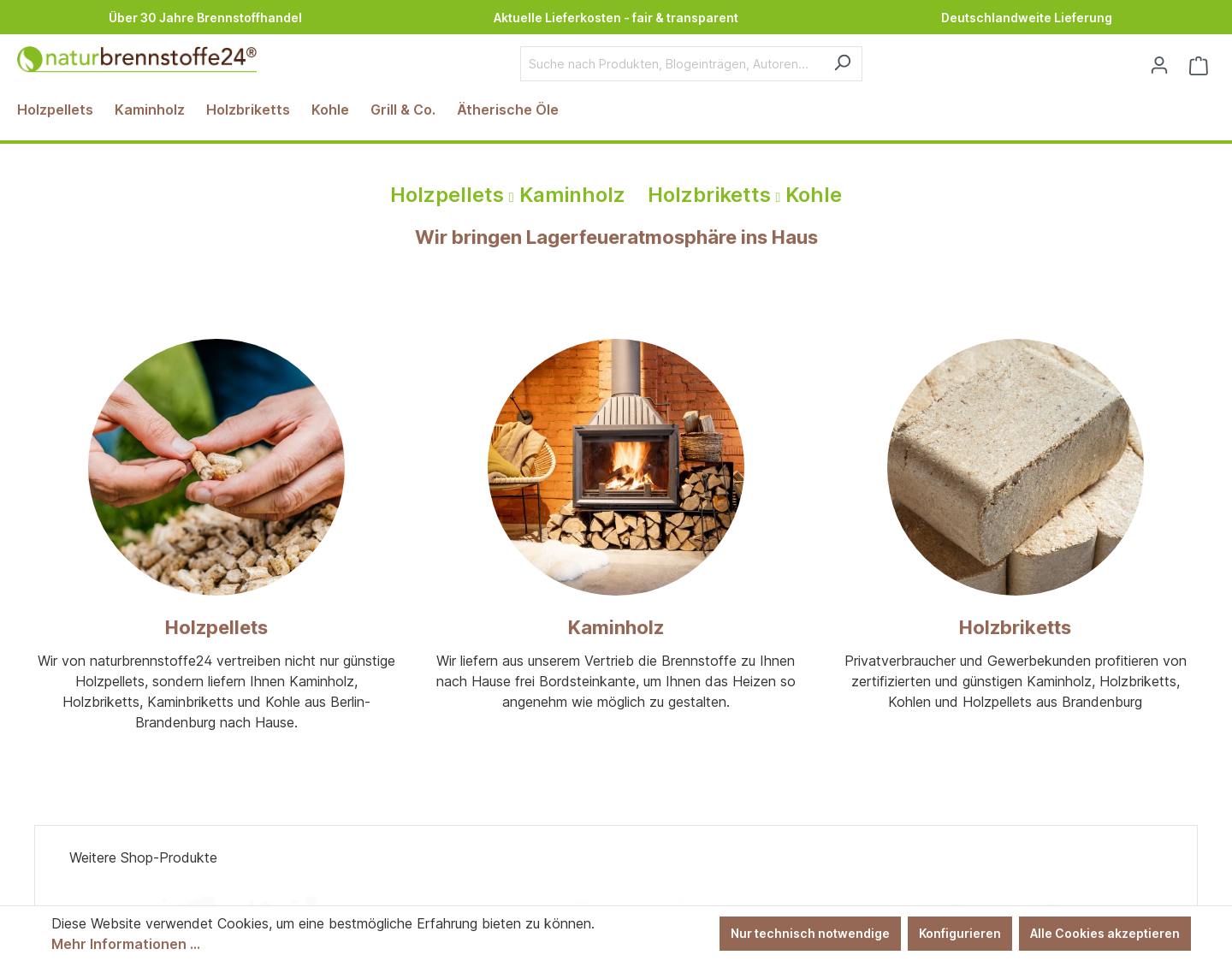 Aktuelle Website-Vorschau von naturbrennstoffe24 GmbH