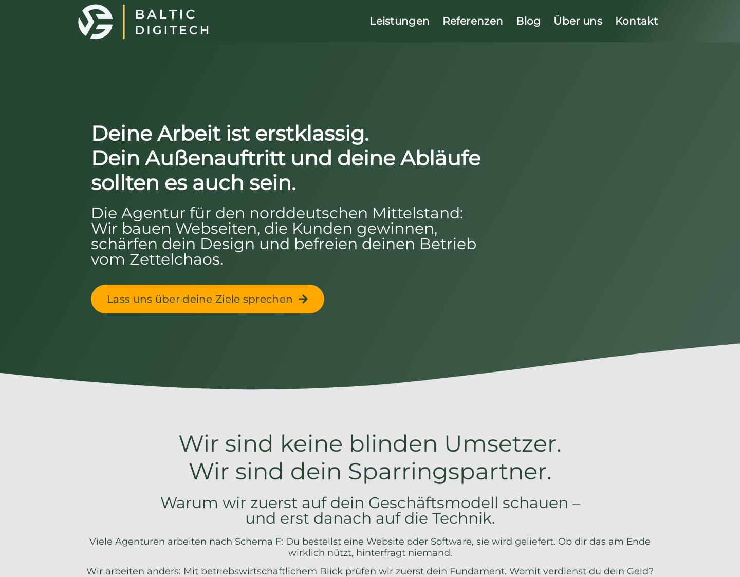 Aktuelle Website-Vorschau von Baltic DigiTech