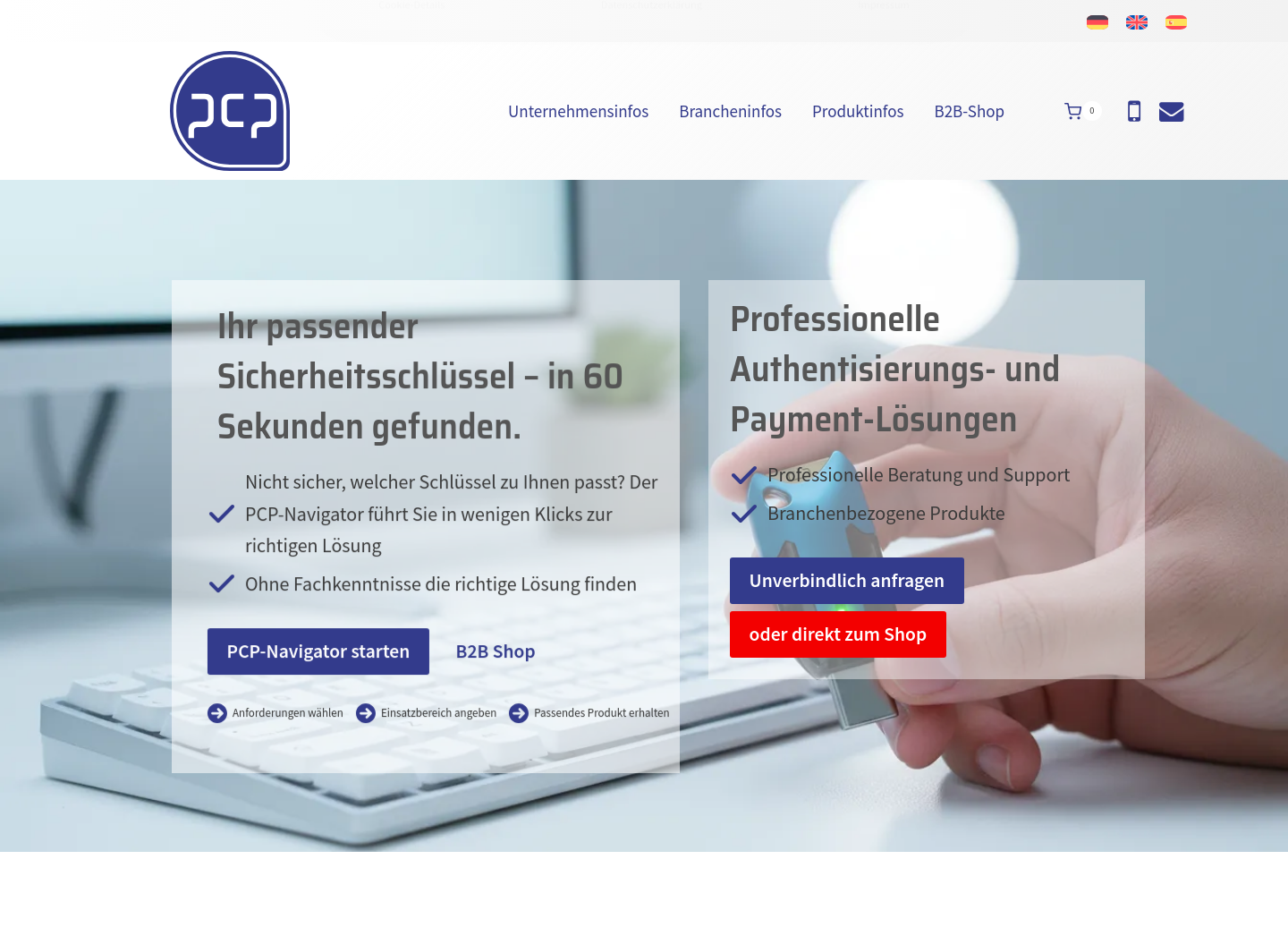 Aktuelle Website-Vorschau von PCP GmbH