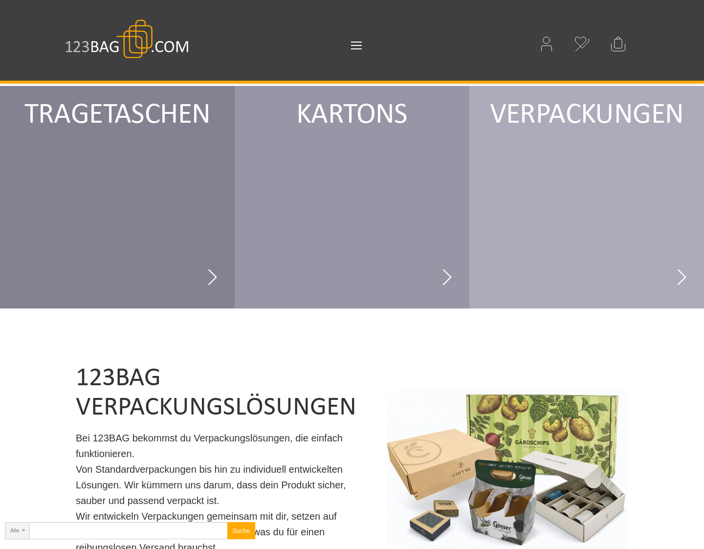 Aktuelle Website-Vorschau von 123bag