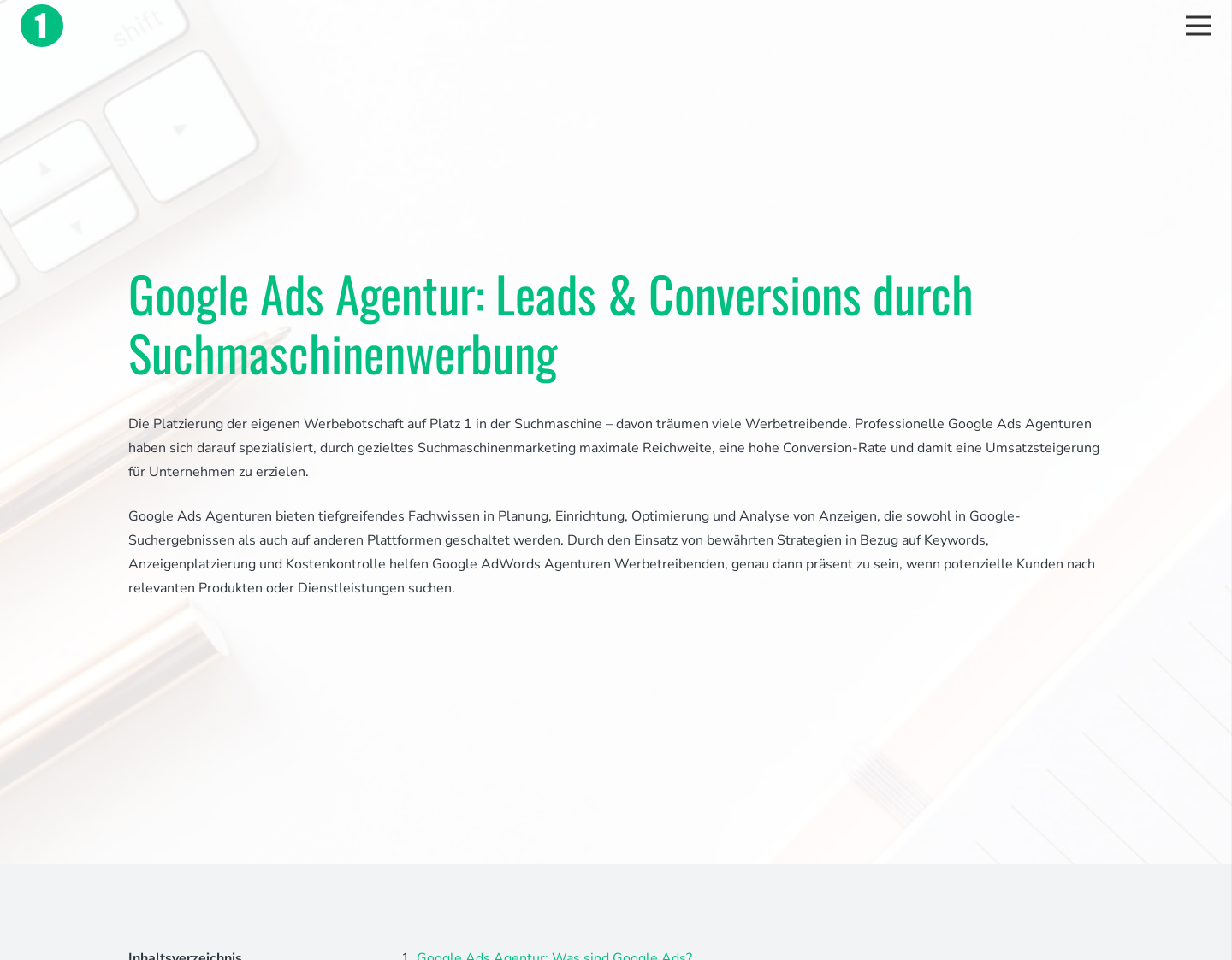 Aktuelle Website-Vorschau von Google Agentur